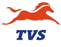 تي في اس TVS فى هولندا